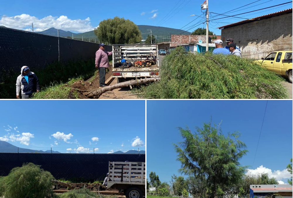 Seguimos atendiendo sus reportes