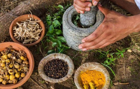 Medicina tradicional ancestral en Adolfo Ruíz Cortínez